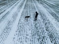 A man with a husky dog Ã¢â¬â¹Ã¢â¬â¹walks outdoors in a field in winter